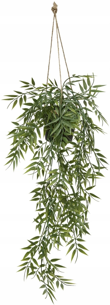 Atmosphera Kabantis bambukas vazone LIORA, 67 cm
