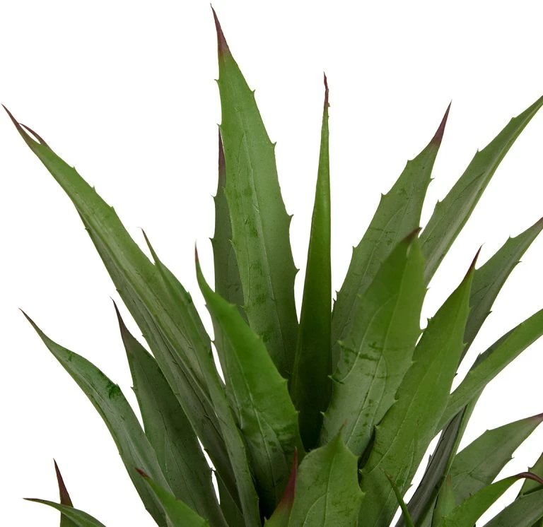 Atmosphera Dirbtinė agava madinga pintame vazonėlyje, aukštis 61 cm