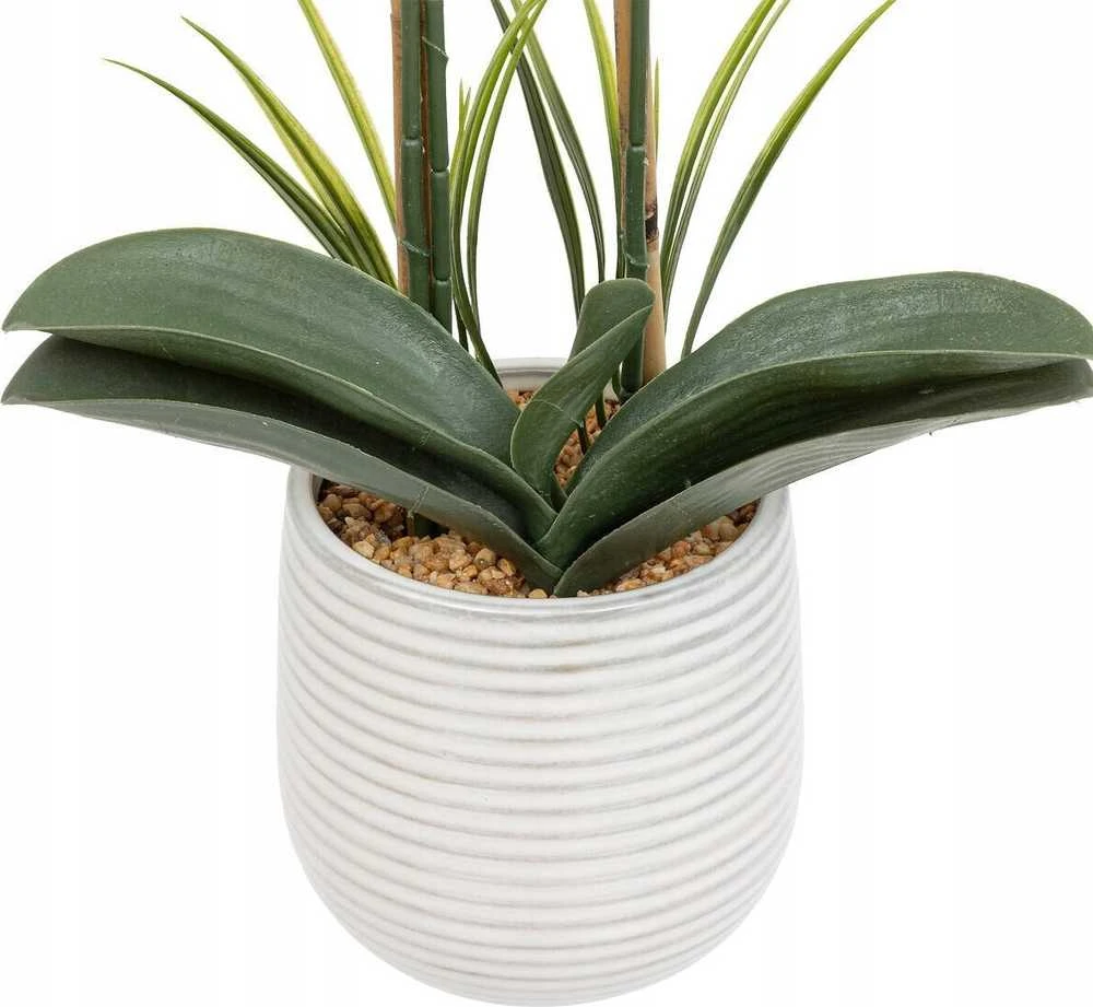 Atmosphera Dirbtinė orchidėja vazone RIVA, 60 cm