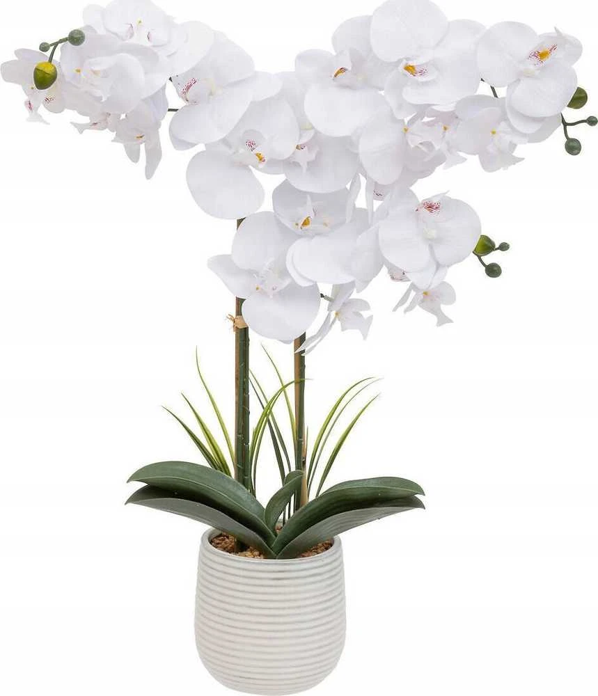 Balta dirbtinė orchidėja RIVA gėlė vazone