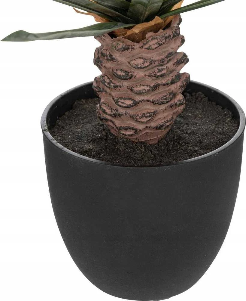 Atmosphera Dirbtinis delnas kaip gyvenantis juodoje sodinėje, aukštis 52 cm