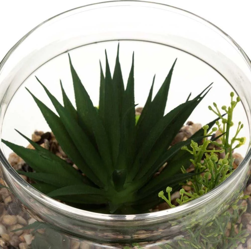 Atmosphera Dirbtiniai augalai, aukštis 17,5 cm, stikliniame terariume remiantis