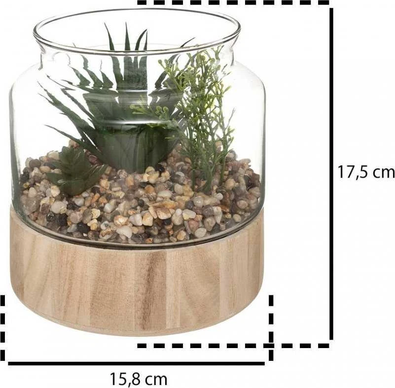 Atmosphera Dirbtiniai augalai, aukštis 17,5 cm, stikliniame terariume remiantis
