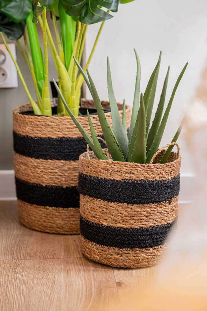 Atmosphera Aloe Dirbtinis alavijo augalas krepšelyje, 37 cm