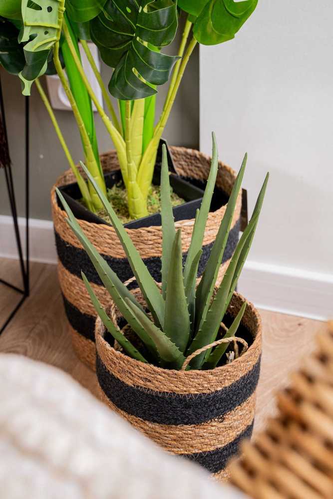 Atmosphera Aloe Dirbtinis alavijo augalas krepšelyje, 37 cm