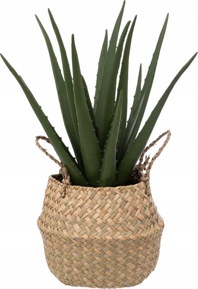 Atmosphera Aloe Dirbtinis alavijo augalas krepšelyje, 37 cm