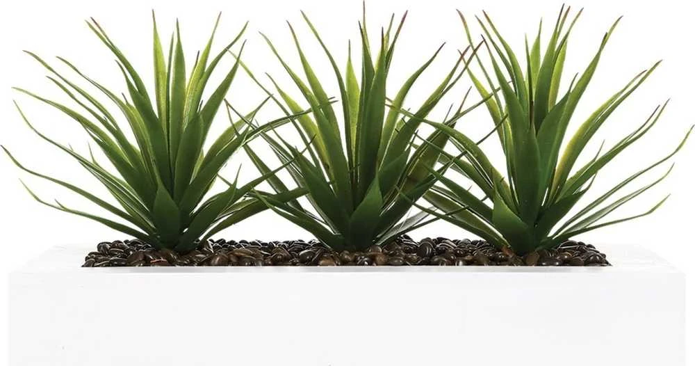Aloe Gėlių vazonas su trimis alavijo sodinukais, papuošimas dirbtiniais augalais Atmosphera Créateur d'intérieur