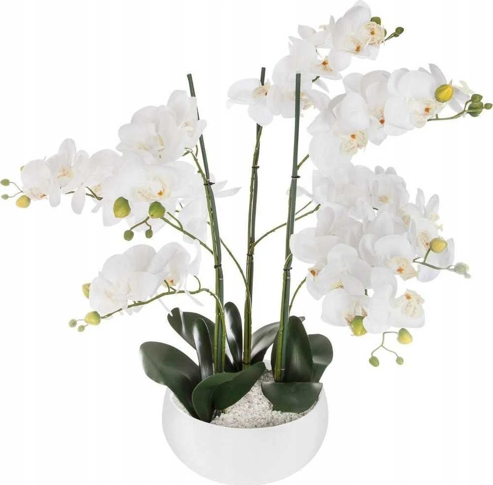 Dirbtinė orchidėja baltame vazone 65 cm