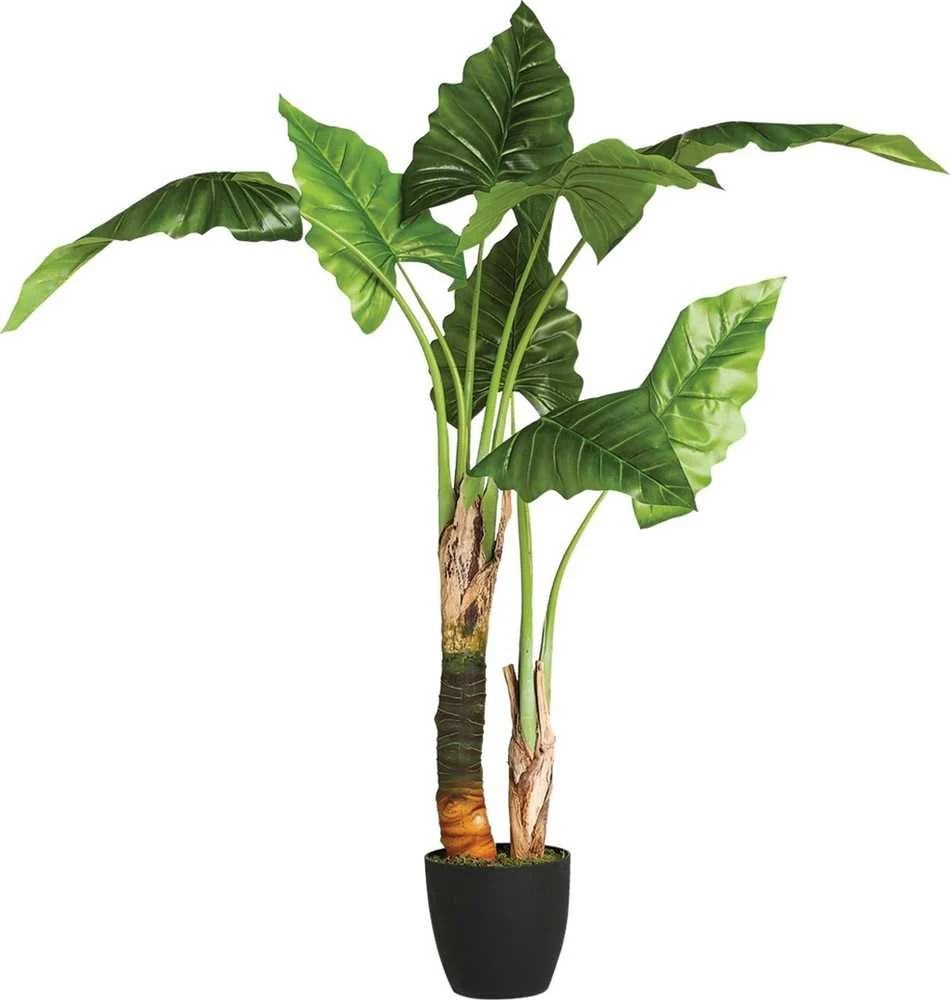 Atmosphera Dirbtinis augalas vazone BANANOWIEC, 132 cm