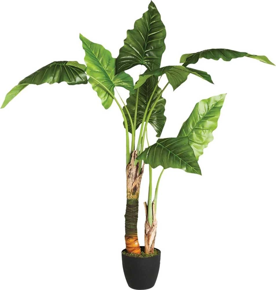 Atmosphera Dirbtinis augalas vazone BANANOWIEC, 132 cm