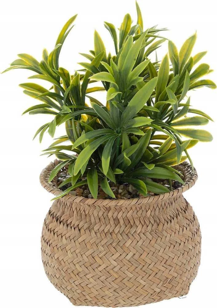 Atmosphera Dirbtinis augalas JIL vazonėlyje, aukštis 20 cm