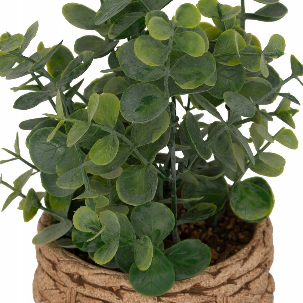 Atmosphera Dirbtinis eukaliptas JAYE keraminiame vazonėlyje, aukštis 27 cm