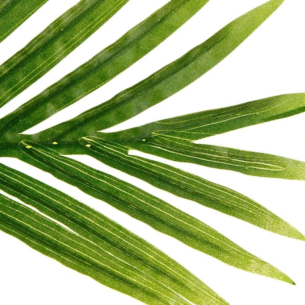Atmosphera Dirbtinė palmė vazone, aukštis 170 cm