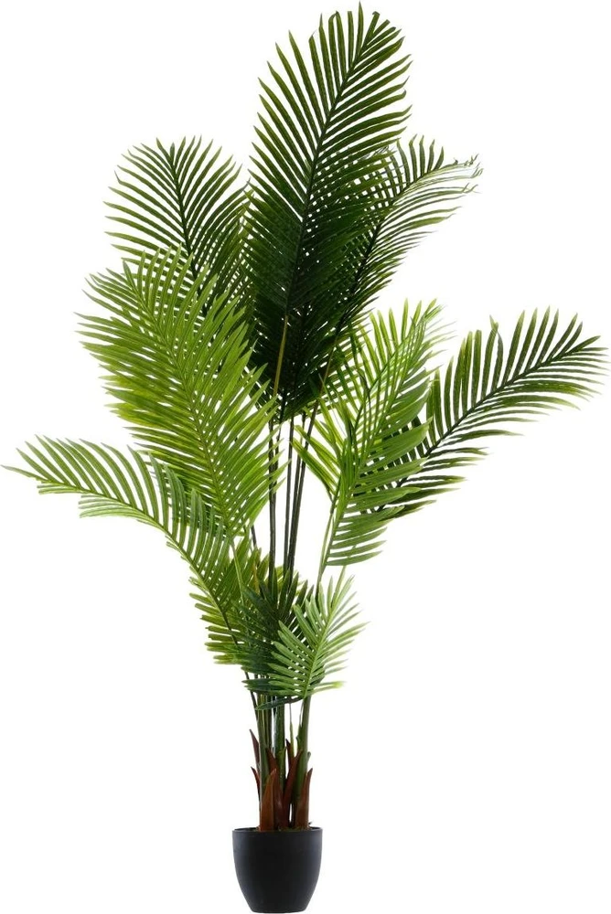 Dirbtinė palmė vazone, 170 cm