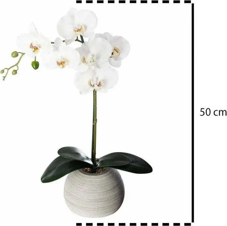 Atmosphera ORCHIDEE REAL TOUCH CIM H.53