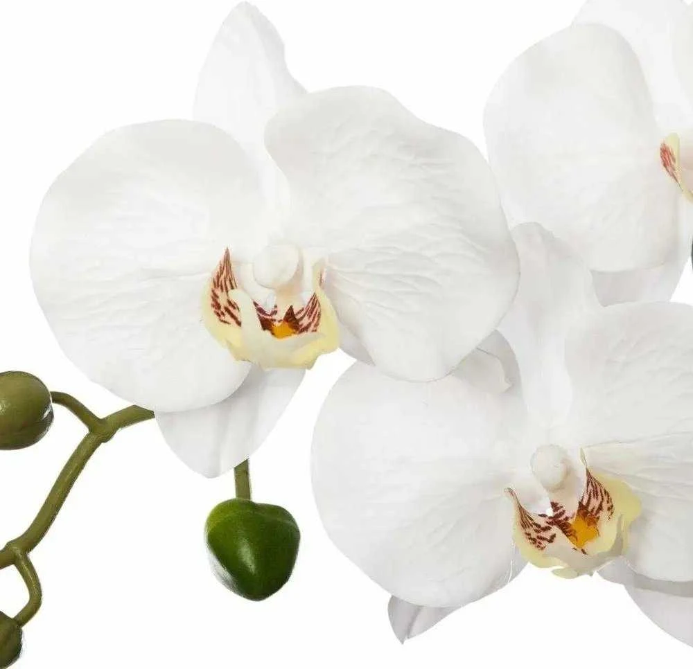 Atmosphera ORCHIDEE REAL TOUCH CIM H.53