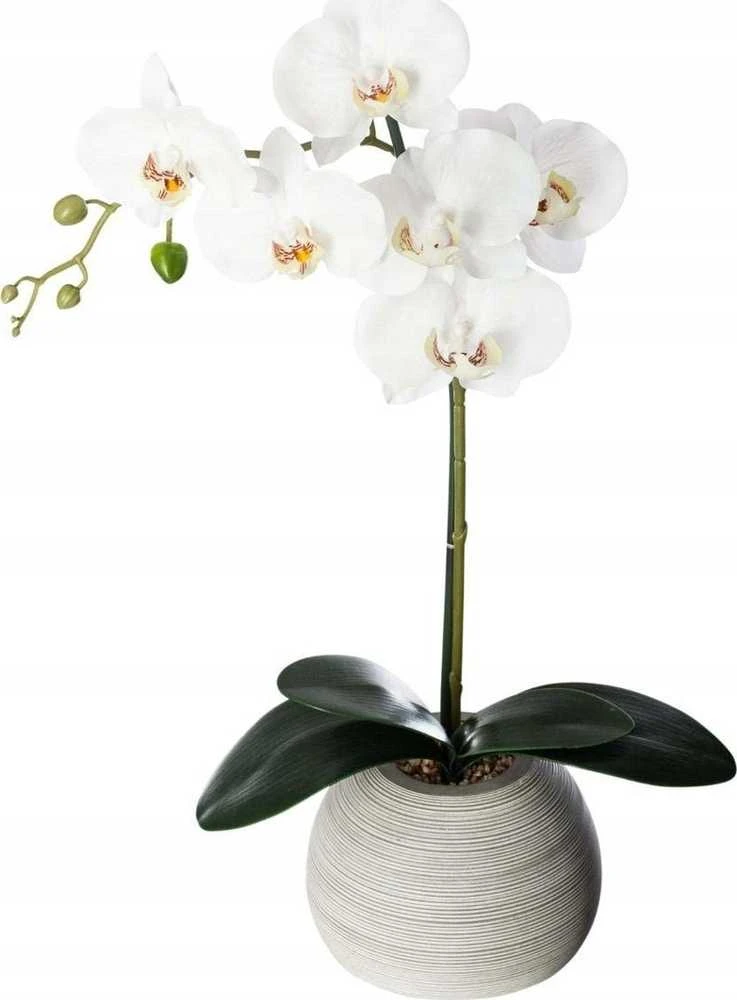 Dirbtinė orchidėja pilkame vazone