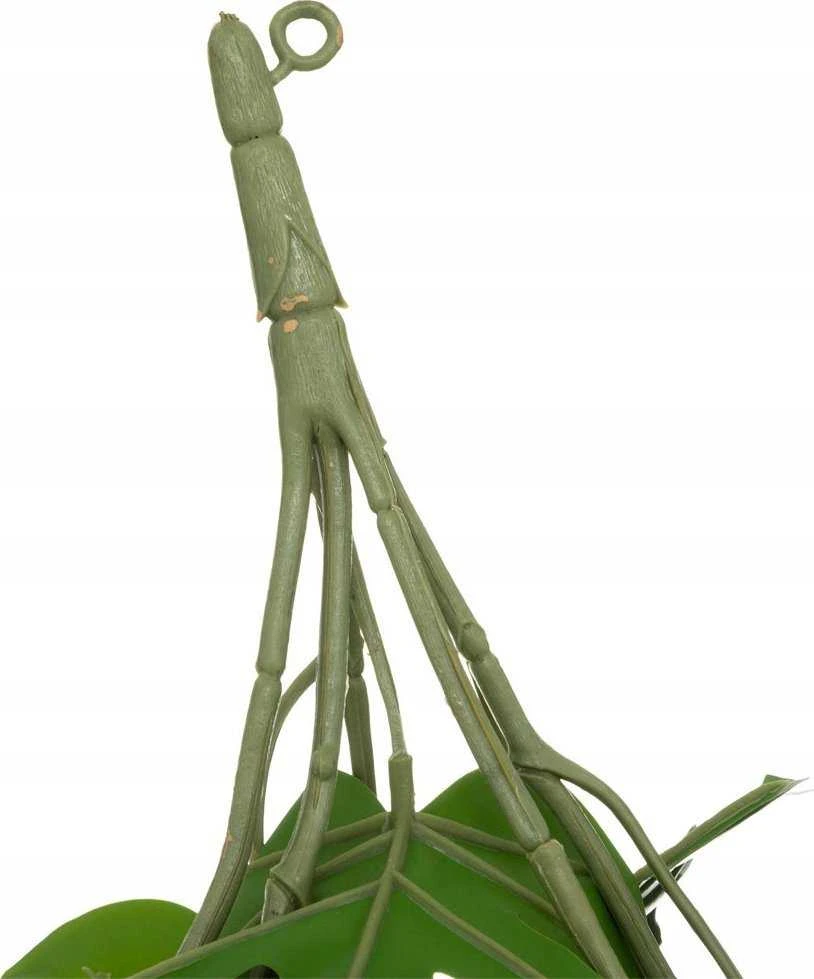 Atmosphera Monster Dirbtinis augalas MONSTRAS, kabantis, 85 cm