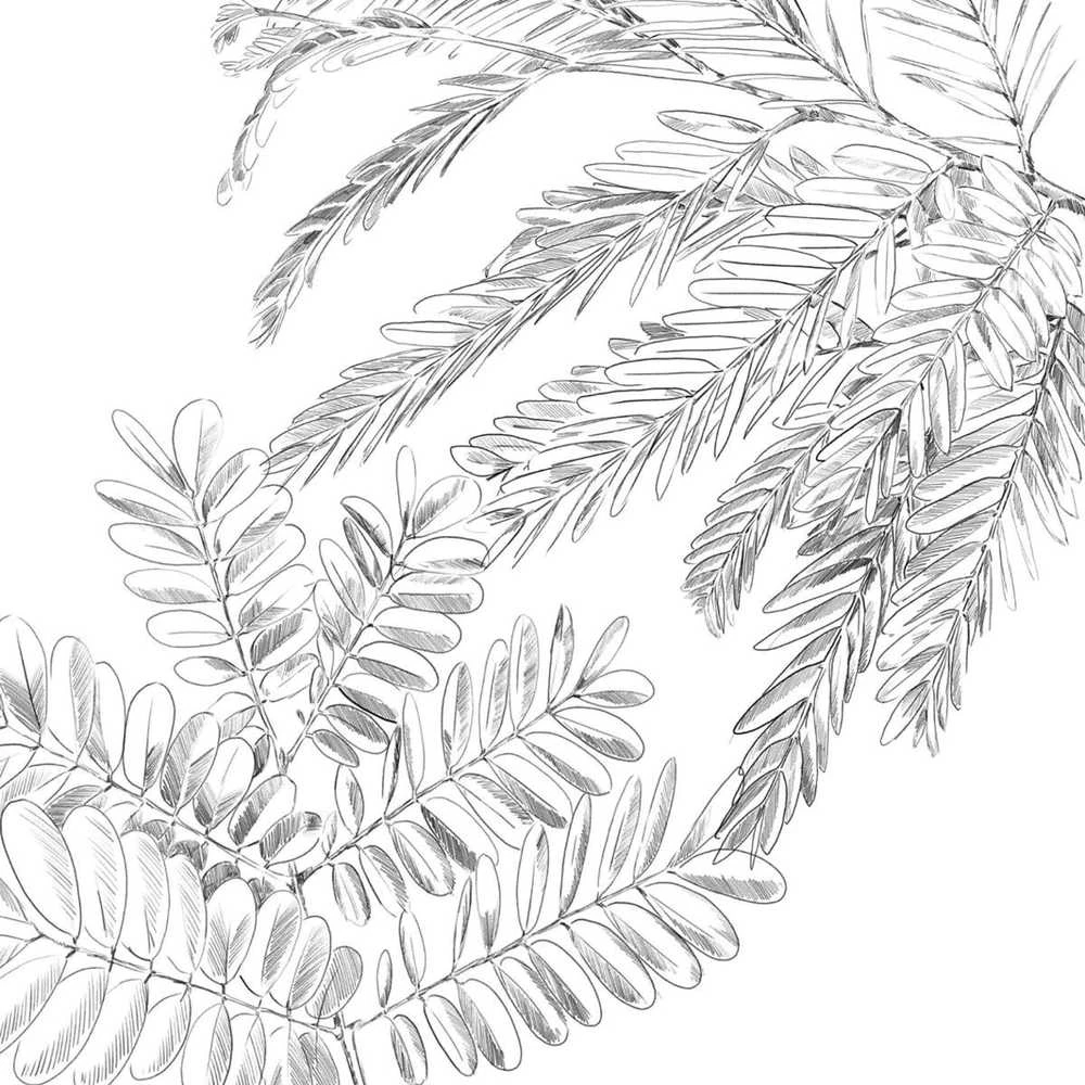 Atmosphera Cotton Medvilninis patalynės komplektas 2 asmenims MONSTERA, 240x220 cm