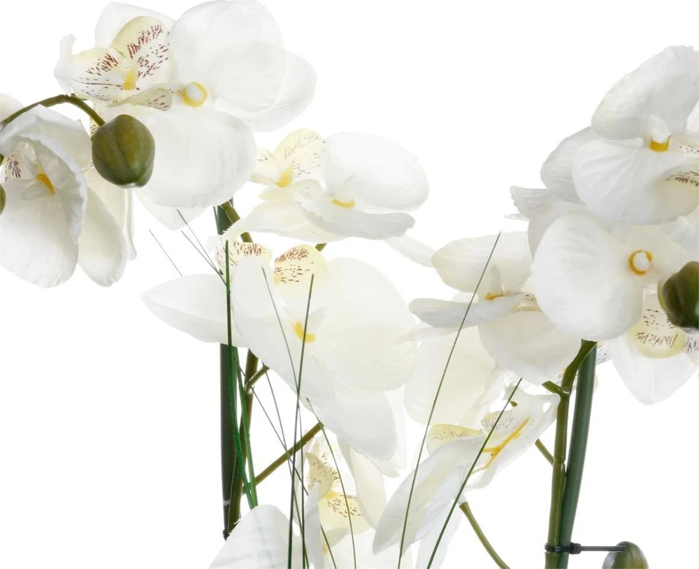 Dekoratyvinis augalas Orchidėja su baltu vazonu 38x38x53 cm Atmosphera 136510B