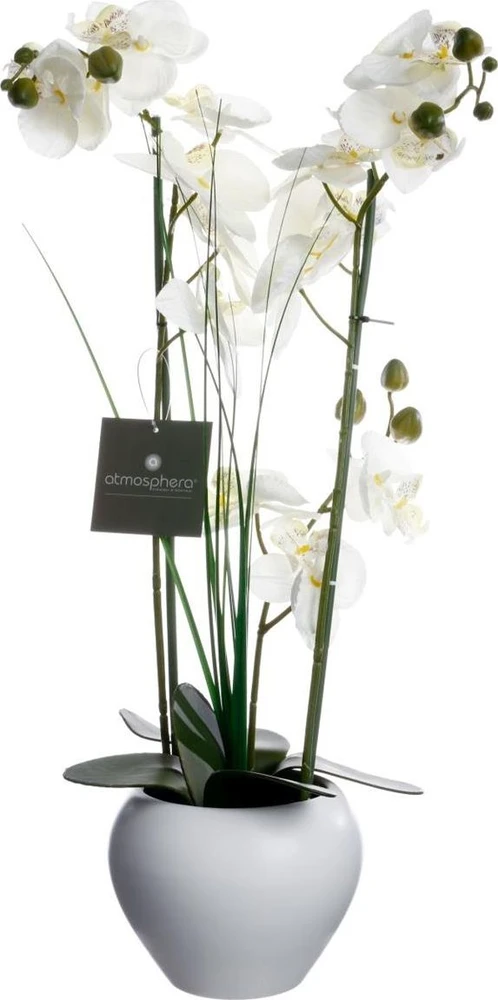 Dekoratyvinis augalas Orchidėja su baltu vazonu 38x38x53 cm Atmosphera 136510B