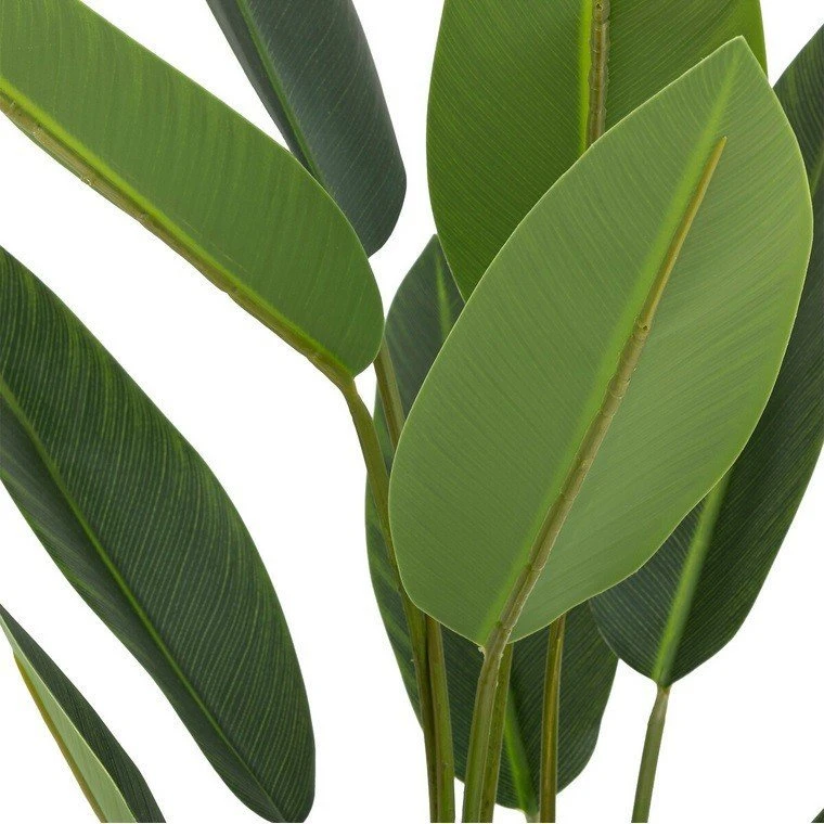 Atmosphera Dirbtinis augalas Strelitzia, 97 cm