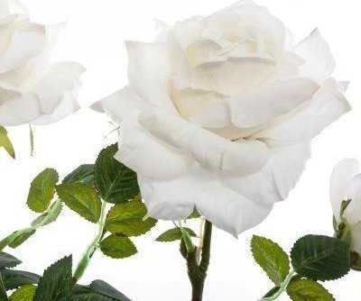 Atmosphera Dirbtinis augalas vazone BUSH Roses, 74 cm, baltas
