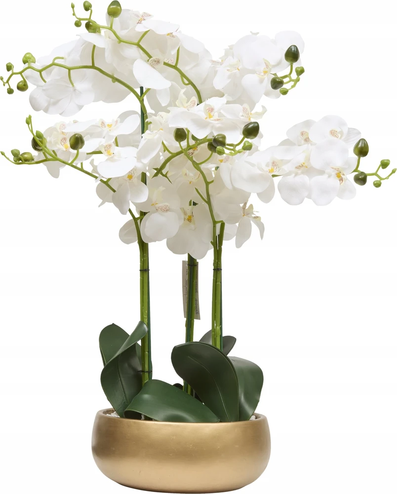 Atmosphera Dirbtinė orchidėja auksiniame vazone SANAE, aukštis 65 cm