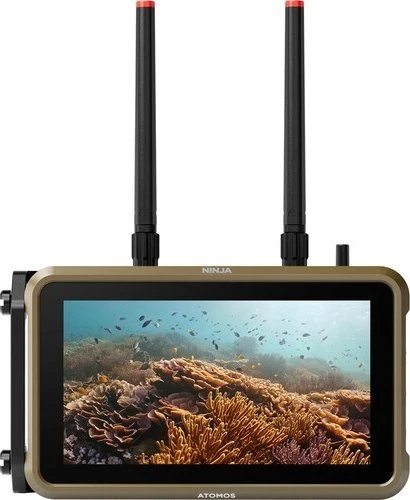 Atomos Ninja - 5&Prime; HDMI HDR Monitorius-Recorder