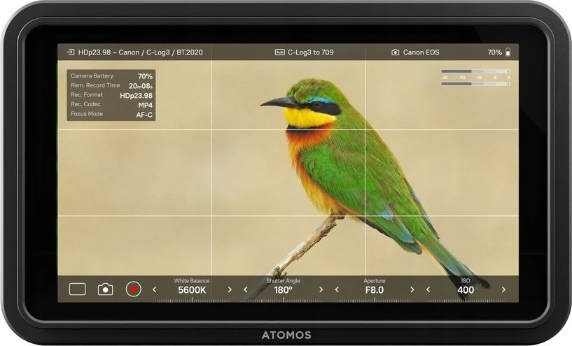 Atomos Shinobi II