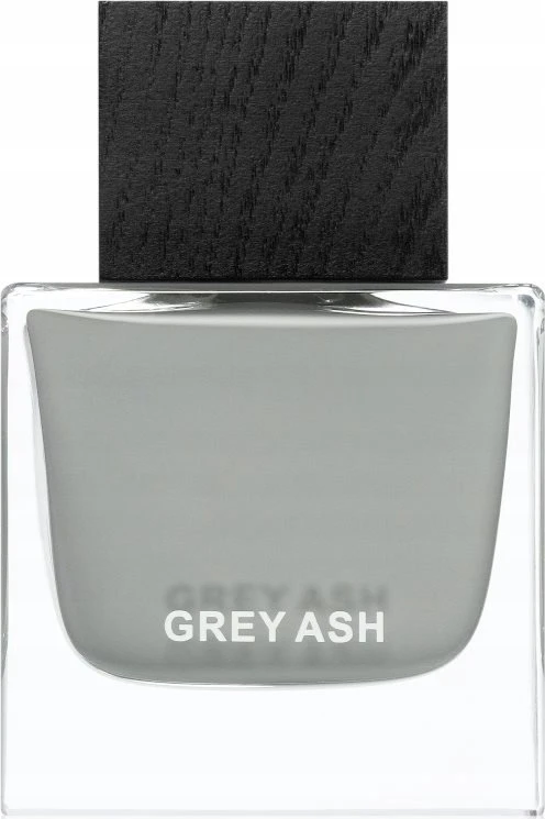 Aurora Scents Aurora Pilkas Ash EDP parfumuotas vanduo vyrams, 100 ml