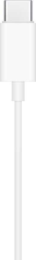 Ausinės Apple