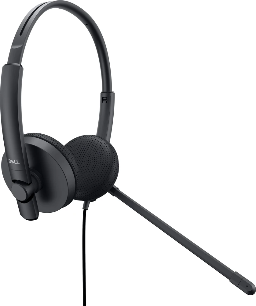 Ausinės Dell WH1022