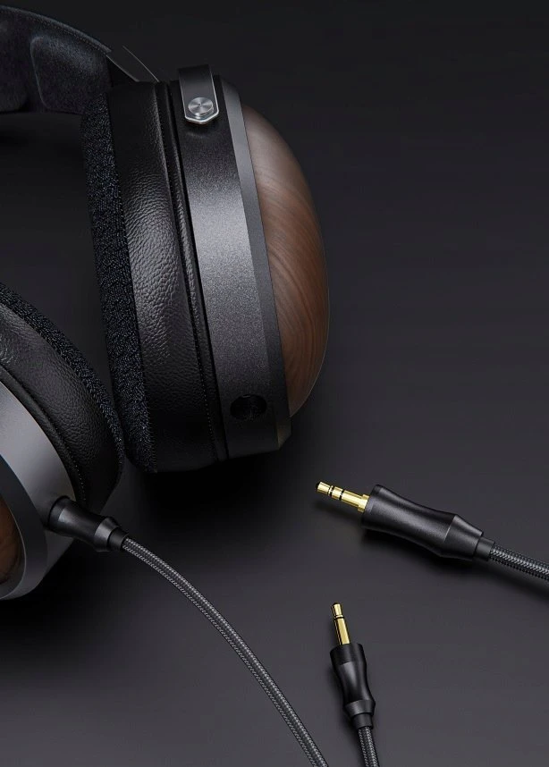 Ausinės FiiO FT1