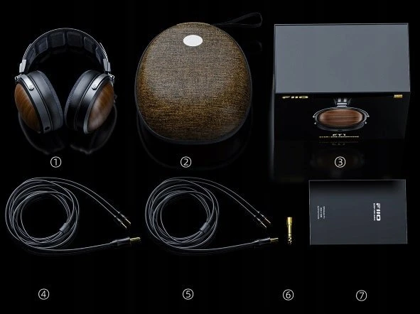 Ausinės FiiO FT1