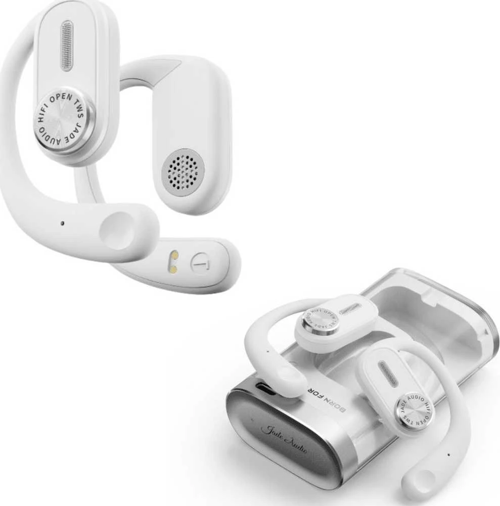 FiiO JW1 ausinės su įkrovimo dėklu