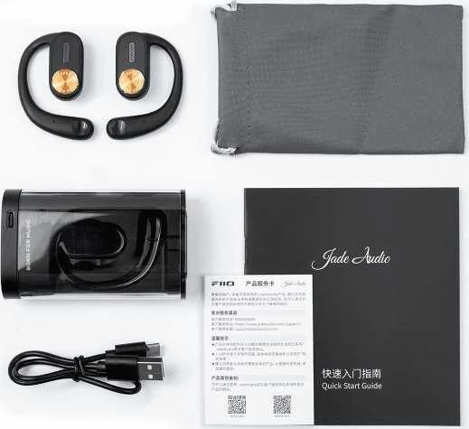 FiiO JW1 ausinių pilnas komplektas su priedais