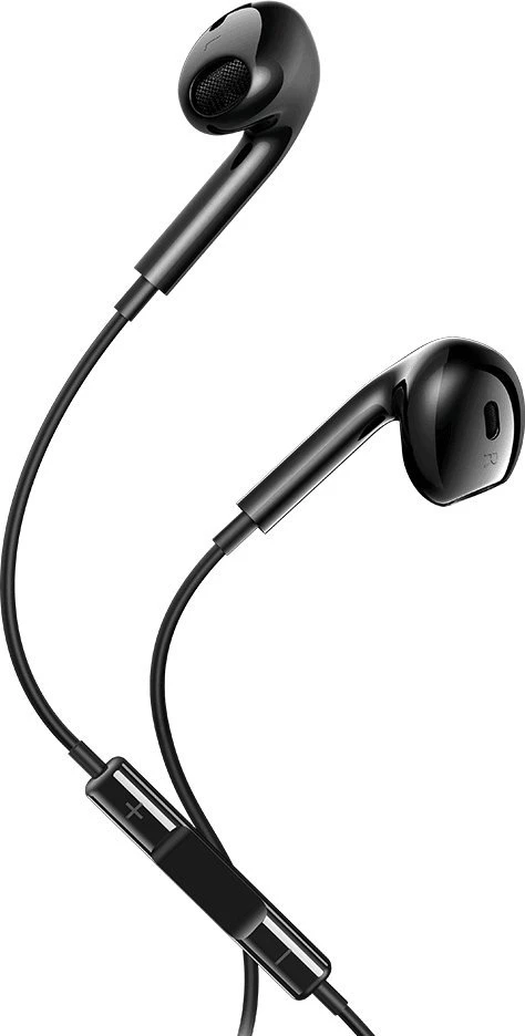 Maxlife ausinės su valdymo pulteliu ir USB-C jungtimi
