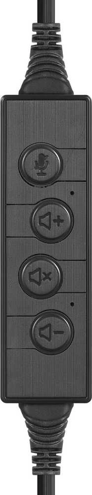 Sandberg USB-C pokalbių ausinės
