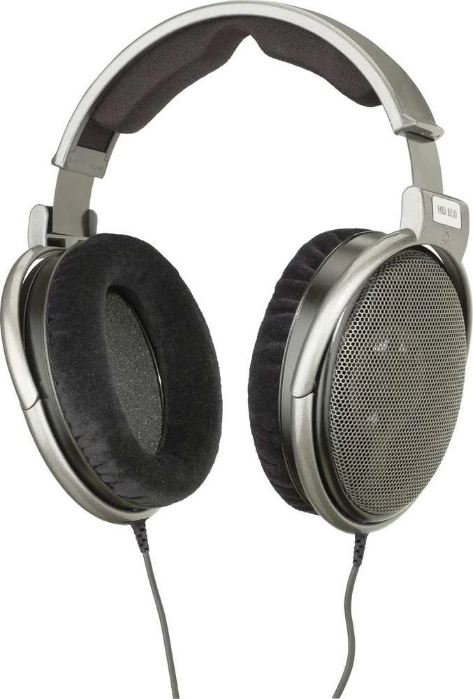 Audiofilinės Ausinės Sennheiser HD 650