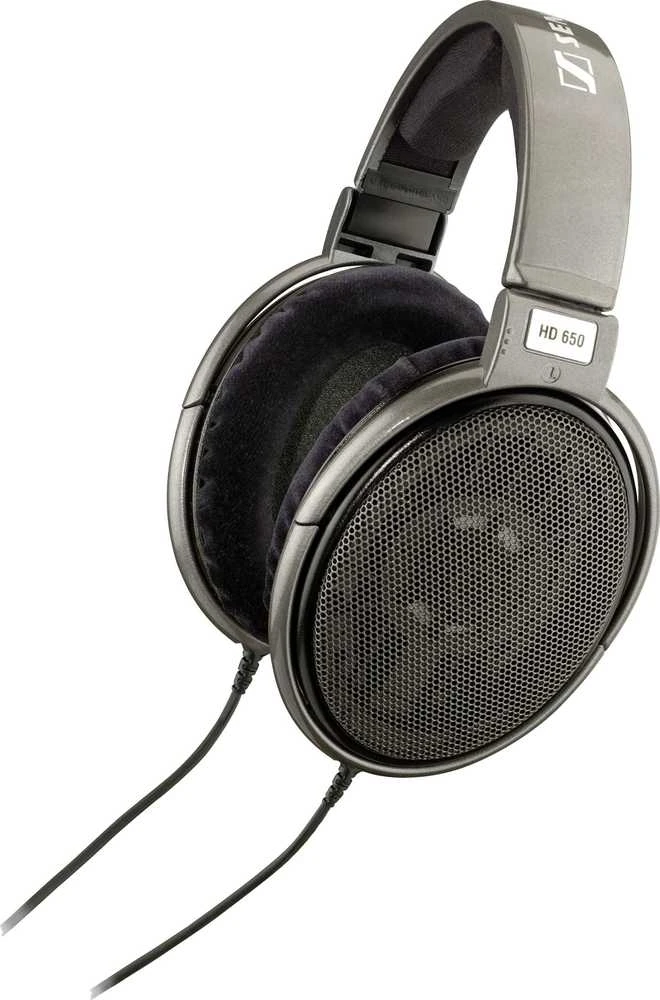 Audiofilinės Ausinės Sennheiser HD 650