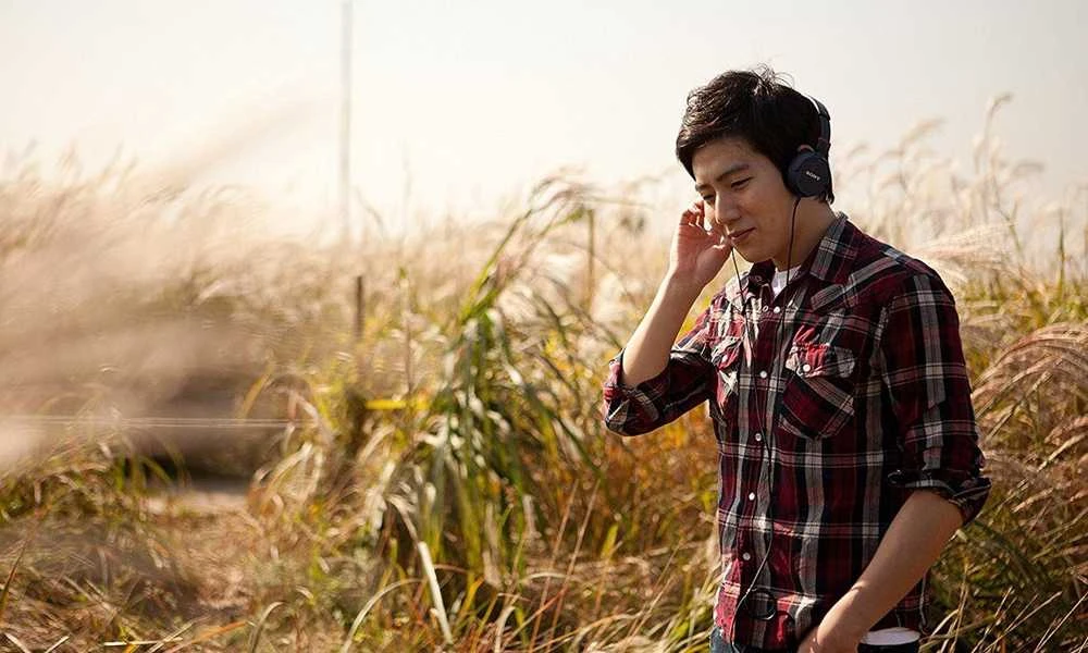 Sulankstomos ausinės Sony MDR-ZX110AP su mikrofonu, Juodos