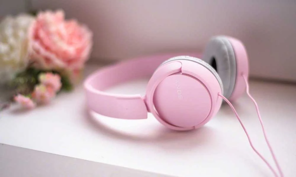 Sulankstomos ausinės Sony MDR-ZX110AP su mikrofonu, Juodos
