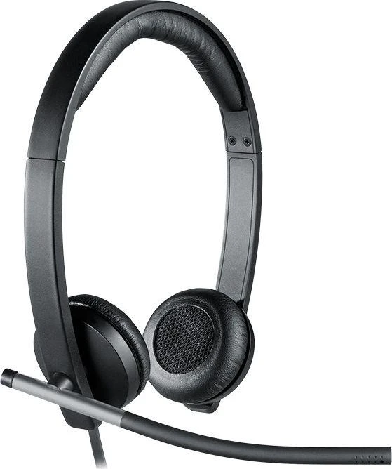Universalios ausinės Logitech H650e, Stereo, su mikrofonu, USB jungtis