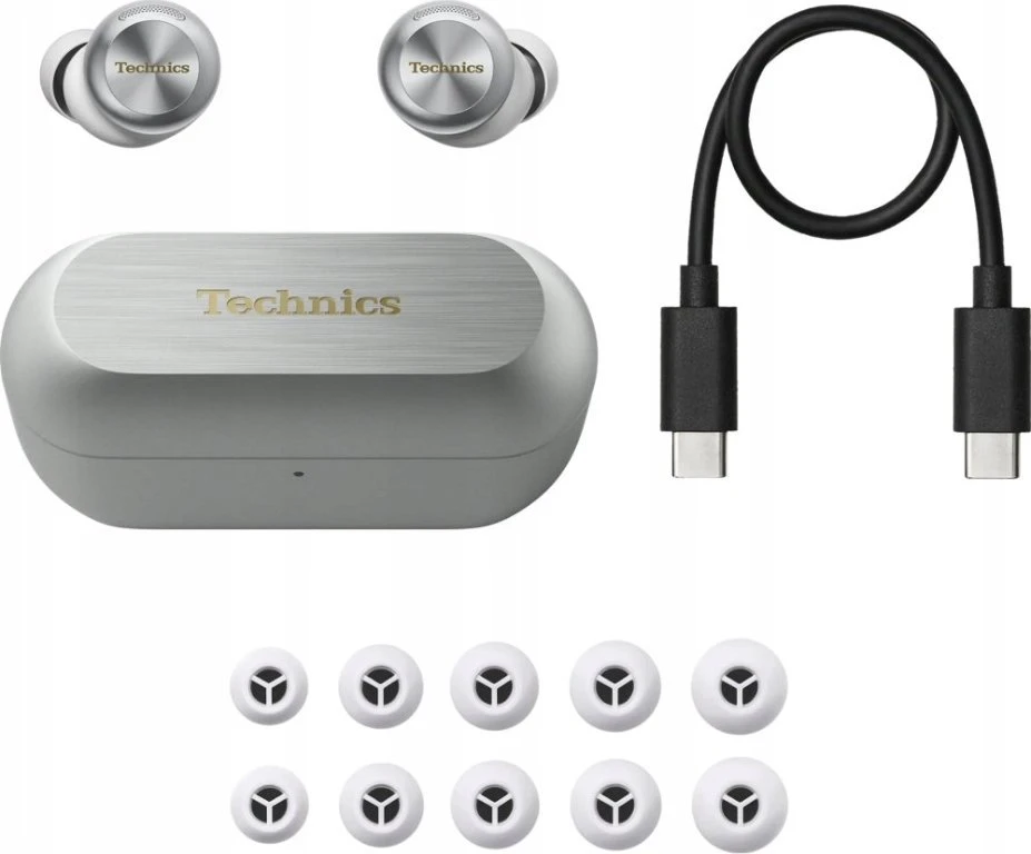 Ausinės Technics EAH-AZ100-S Sidabrinė