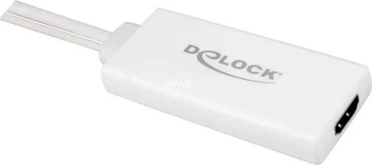 Adapteris AV Delock D-Sub (VGA) – HDMI + USB-A baltas (62460)