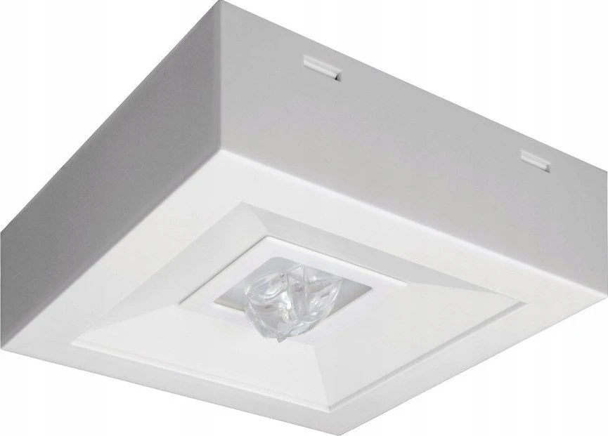 AWEX avarinis šviestuvas LOVATO N ECO* LED 1W 125lm (opcija universalus) 1h vienos funkcijos baltas LVNU/1W/E/1/SE/AT/WH