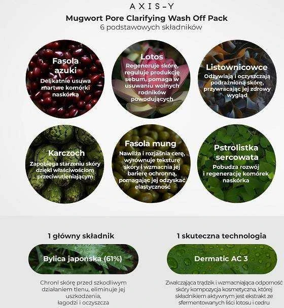 AXIS-Y Mugwort Pore Clarifying Wash Off Pack Poras valanti molio kaukė, 100 ml