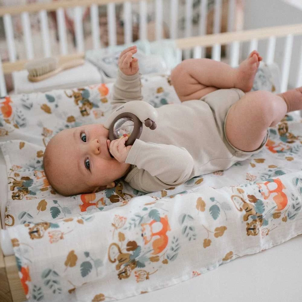 Baby Ono BabyOno barškutis sraigė 1547