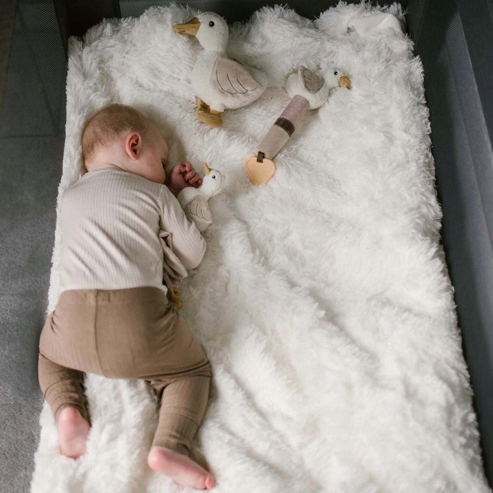 Baby Ono Mielas žaislas BABYONO GOOSE ZOE 1554
